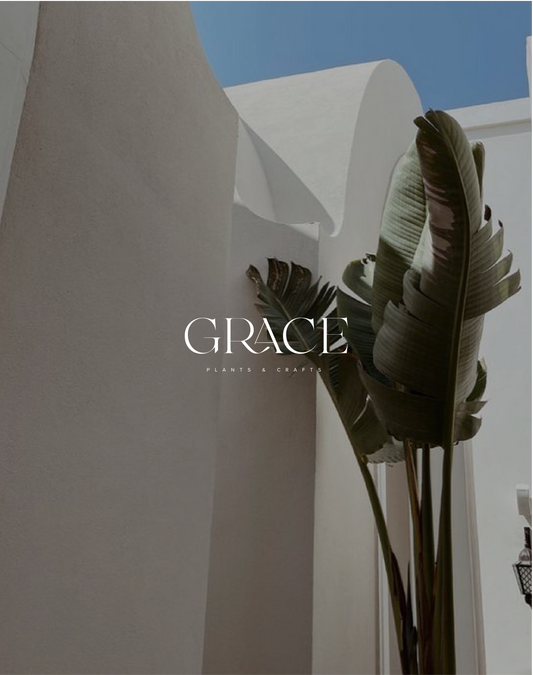 Grace Brand Set